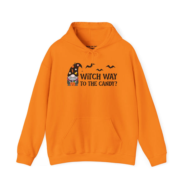 Witch Way to the Candy Gnome Halloween Heavy Blend Classic Hoodie