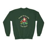 Kids' green sweatshirt with colorful gnome and 