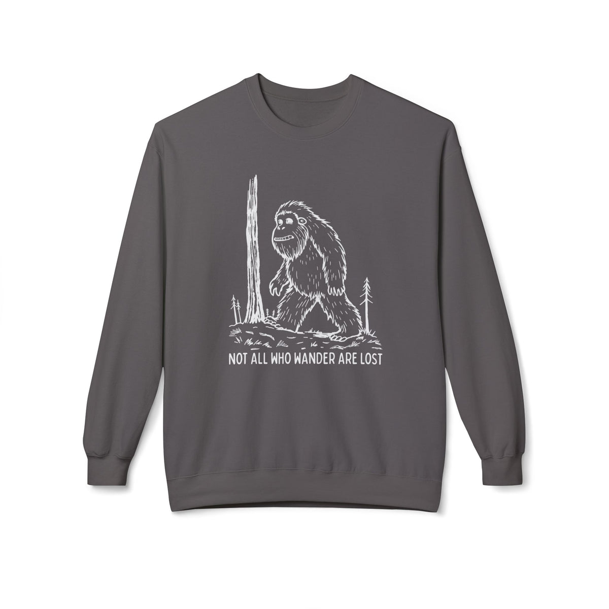 Not All Who Wander Are Lost Sweatshirt