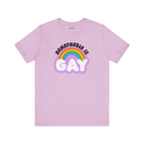 Homophobia Is Gay T shirt featuring colorful rainbow design on a light purple background.