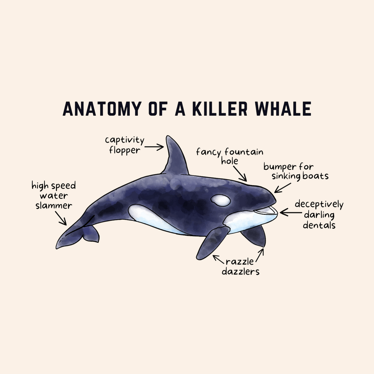 Anatomy of a Killer Whale Graphic Softstyle T-Shirt