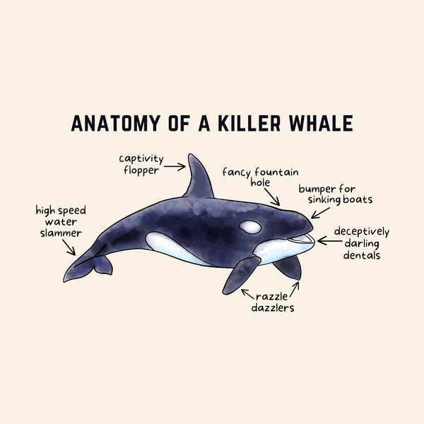 Anatomy of a Killer Whale Graphic Softstyle T-Shirt